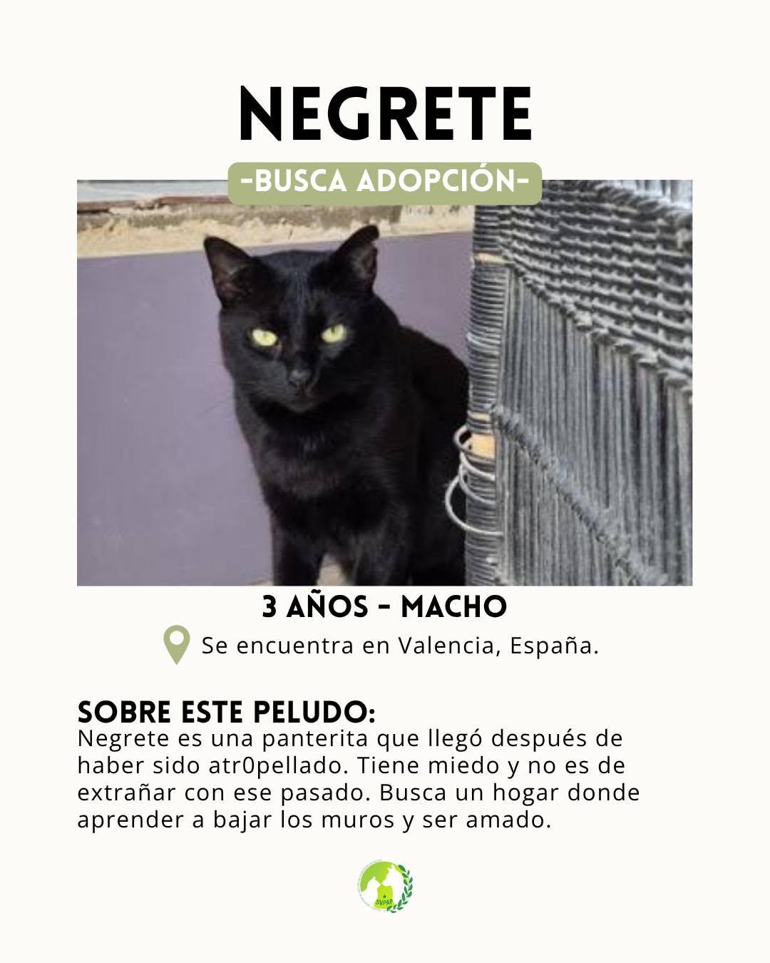Negrete (2/5)