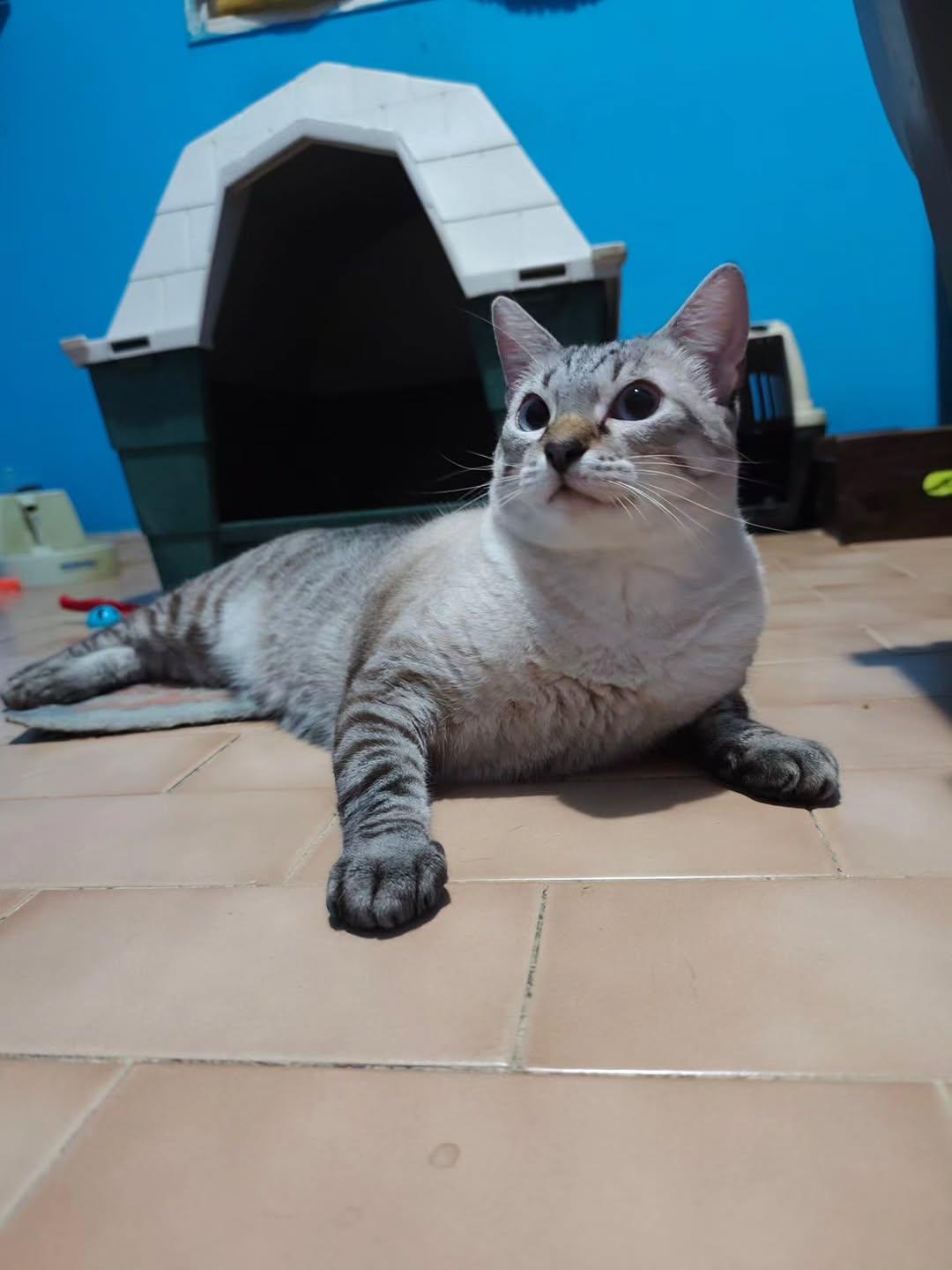 Melón, África (5/6)