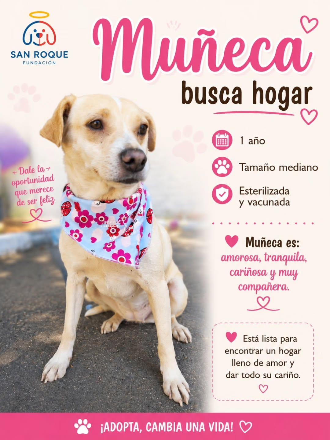 Muñeca