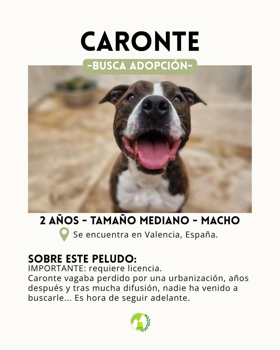 Caronte (2/7)