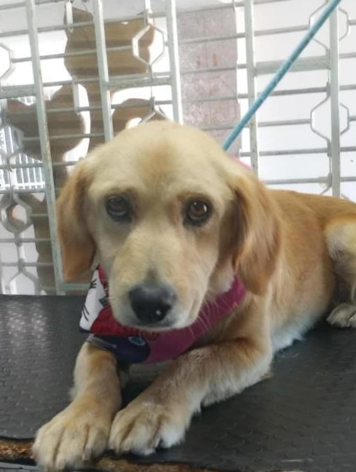 Chiqui, Fiona, Kira +2 (12/15)