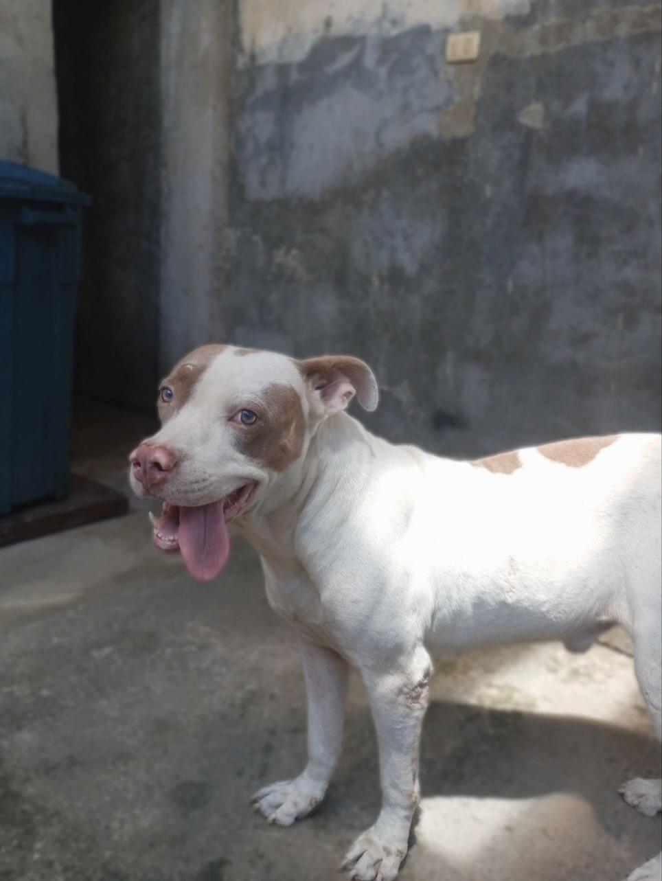 Chiqui, Fiona, Kira +2 (15/15)