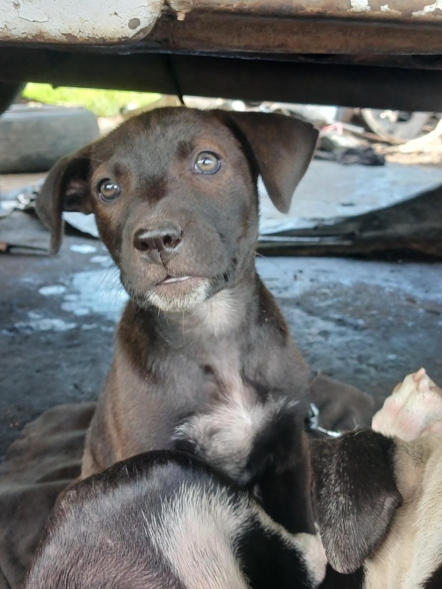 Chiqui, Fiona, Kira +2 (3/15)