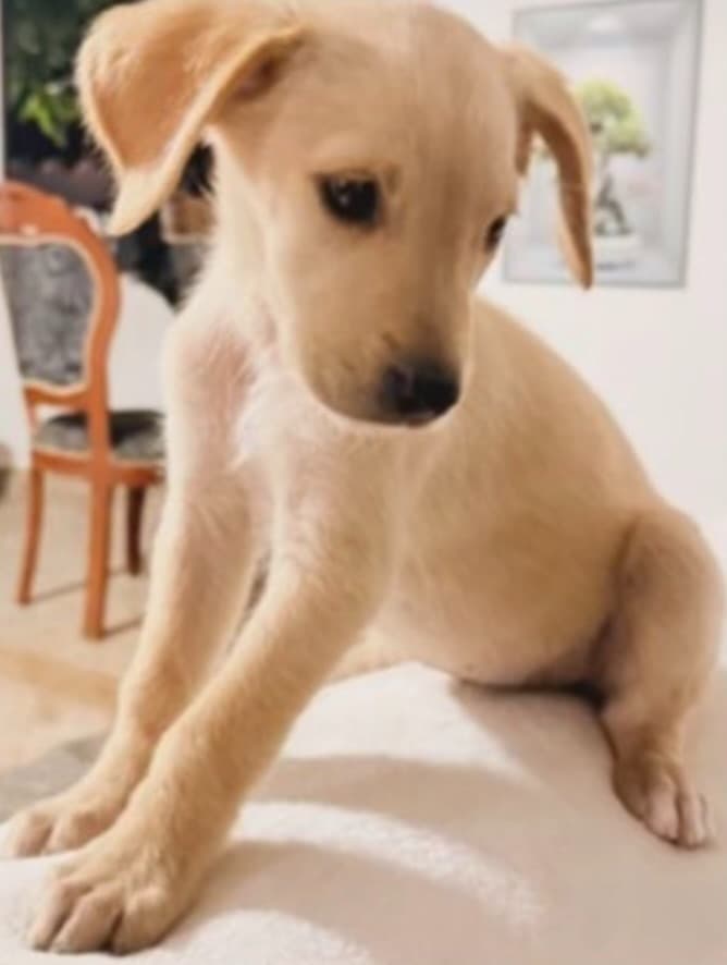 Chiqui, Fiona, Kira +2 (6/15)