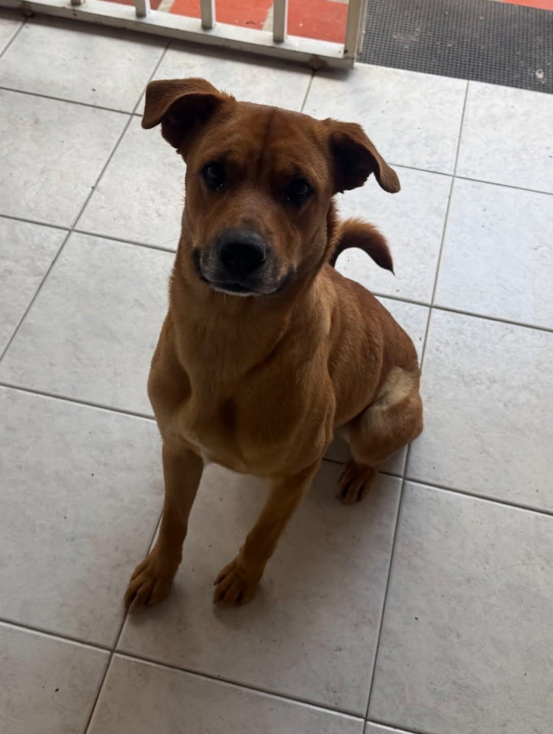 Chiqui, Fiona, Kira +2 (7/15)