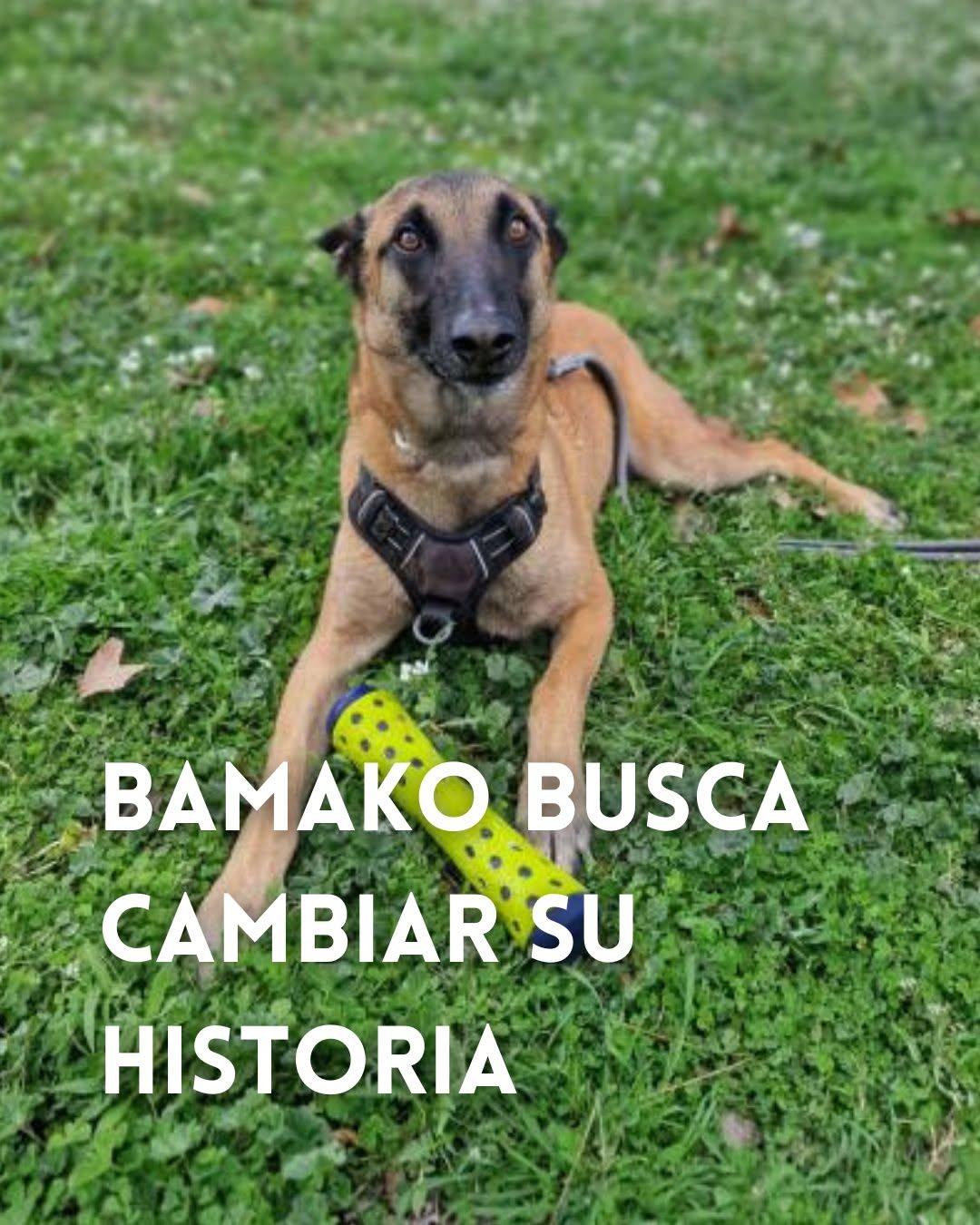 Bamako (1/5)