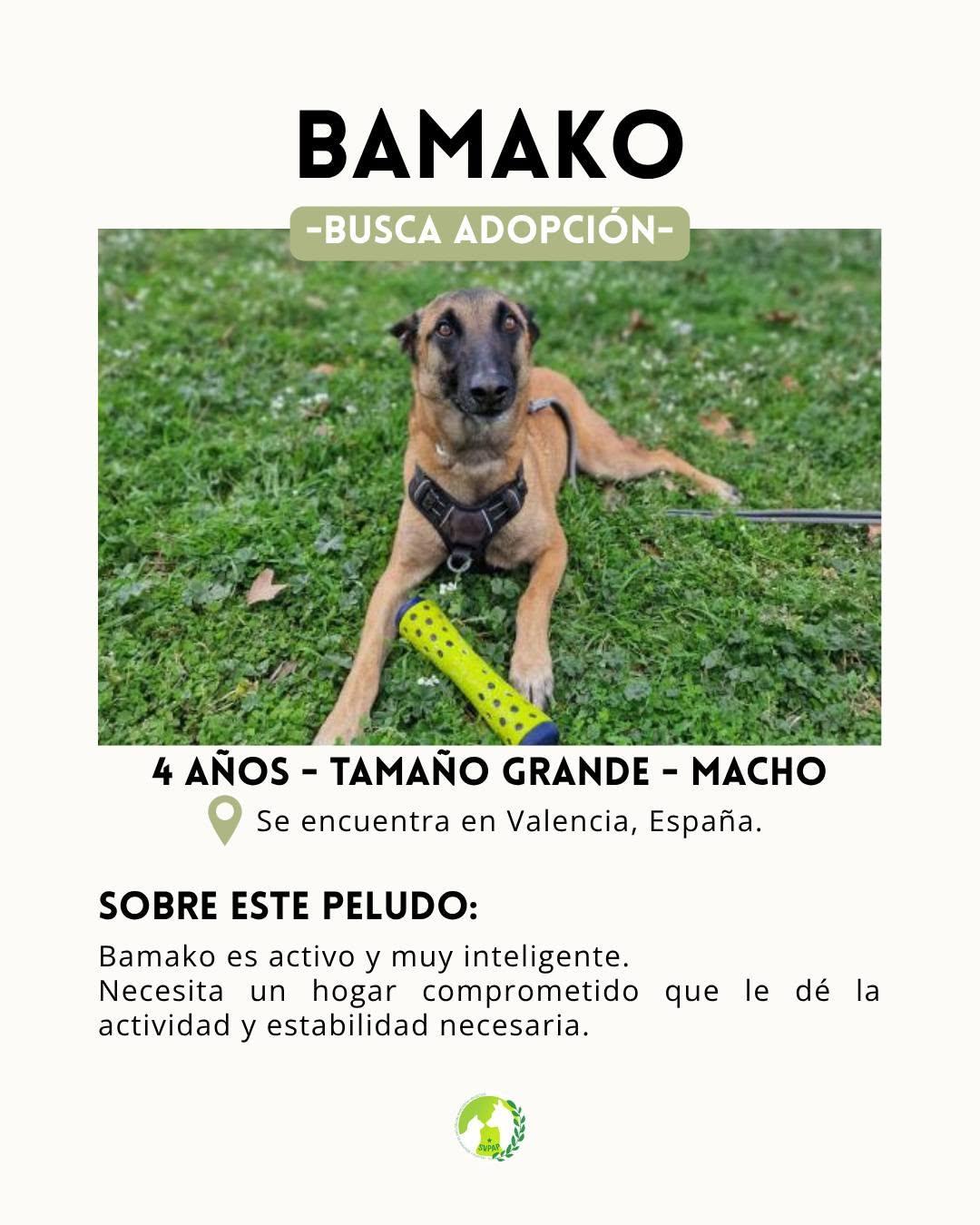 Bamako (2/5)
