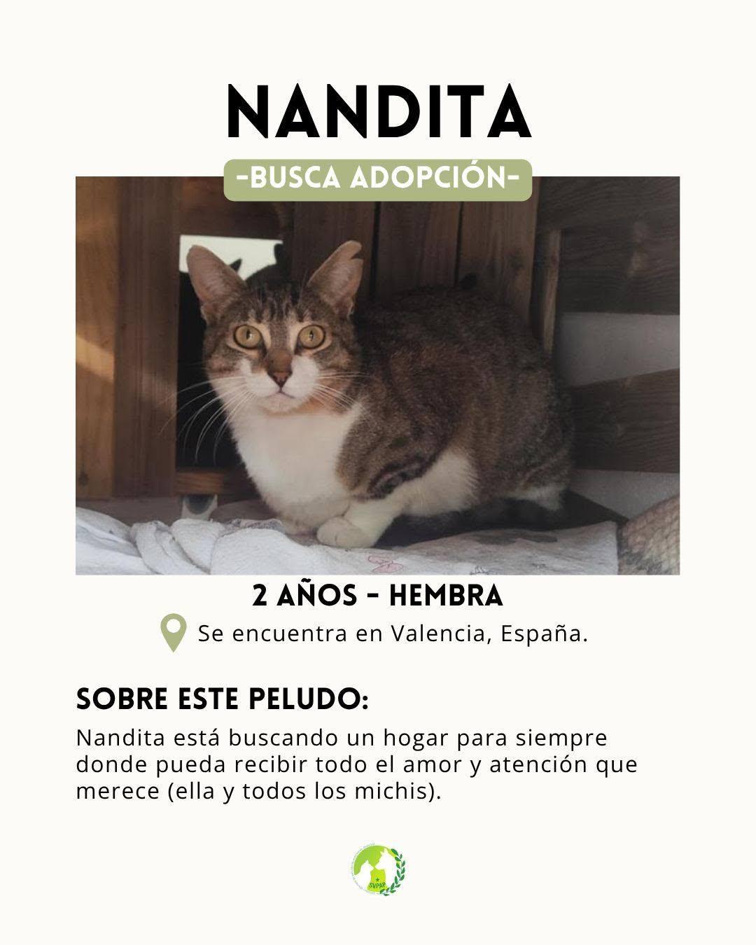 Nandita (2/8)