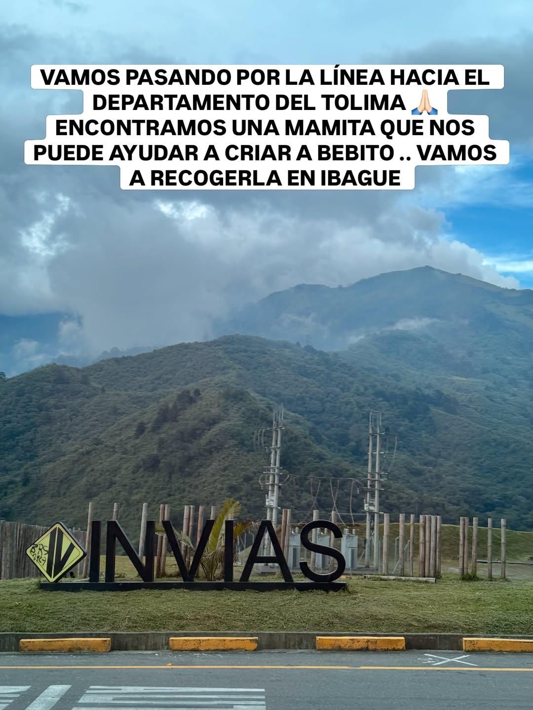 4 animalitos