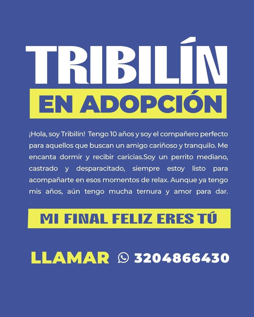 Tribilín (3/4)