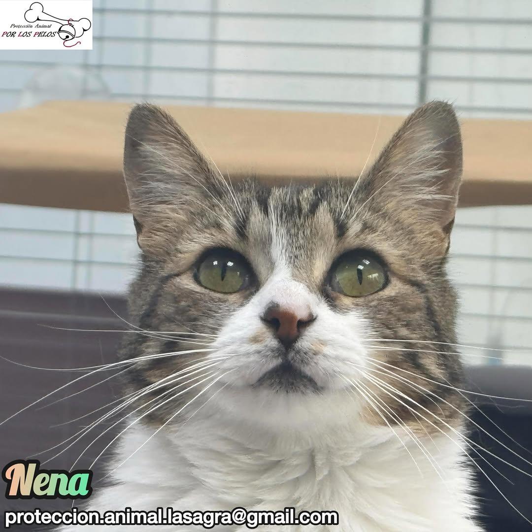 Nena (2/9)