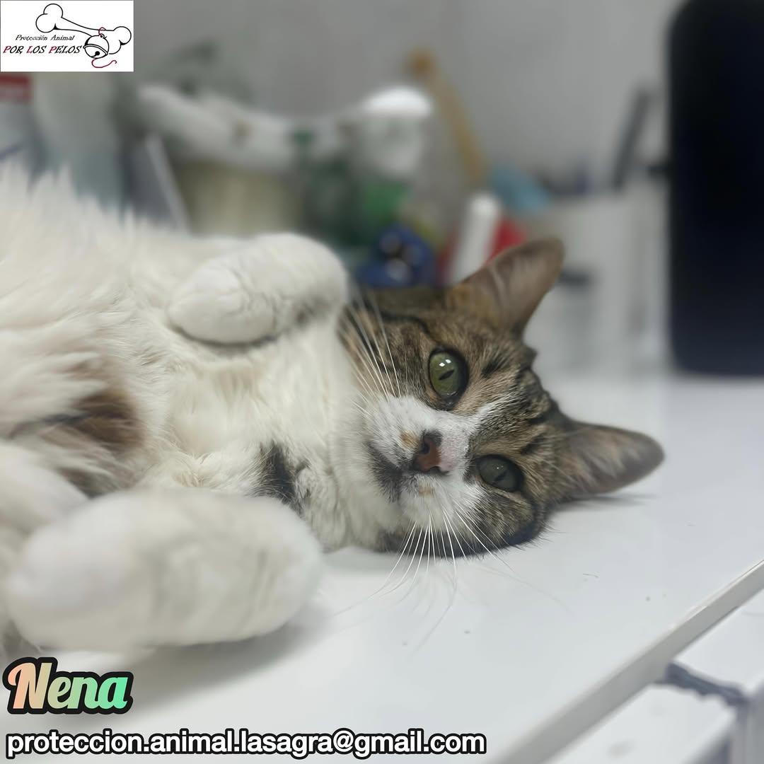 Nena (3/9)