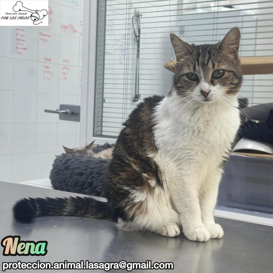 Nena (4/9)