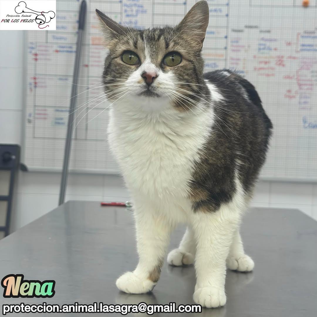 Nena (6/9)