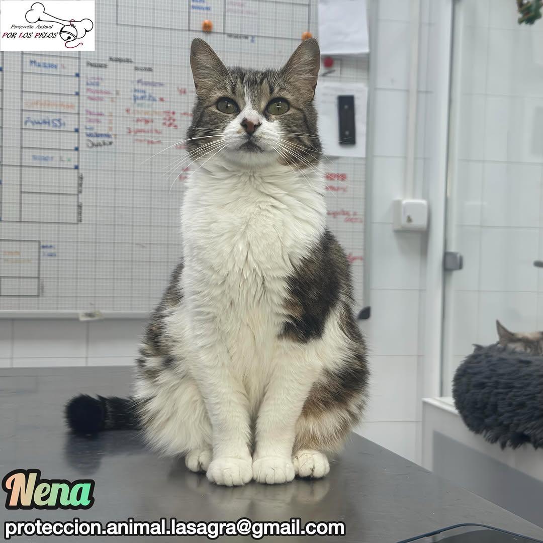 Nena (9/9)