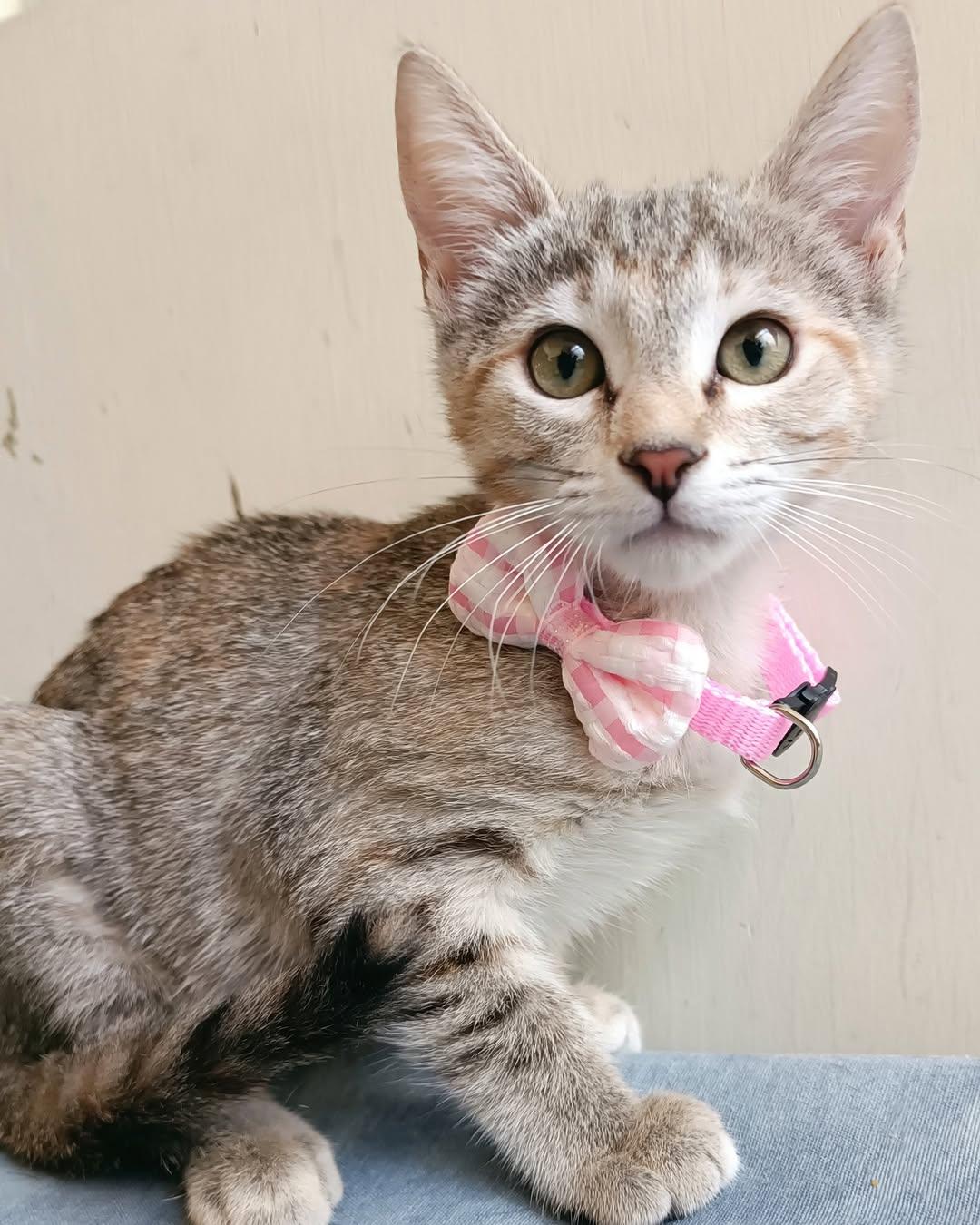 Kiki