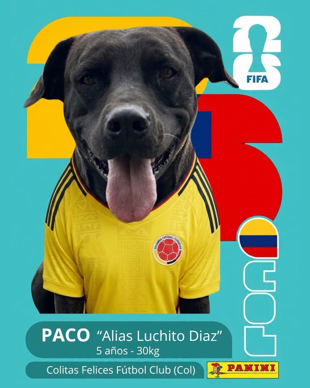 PACO (1/11)