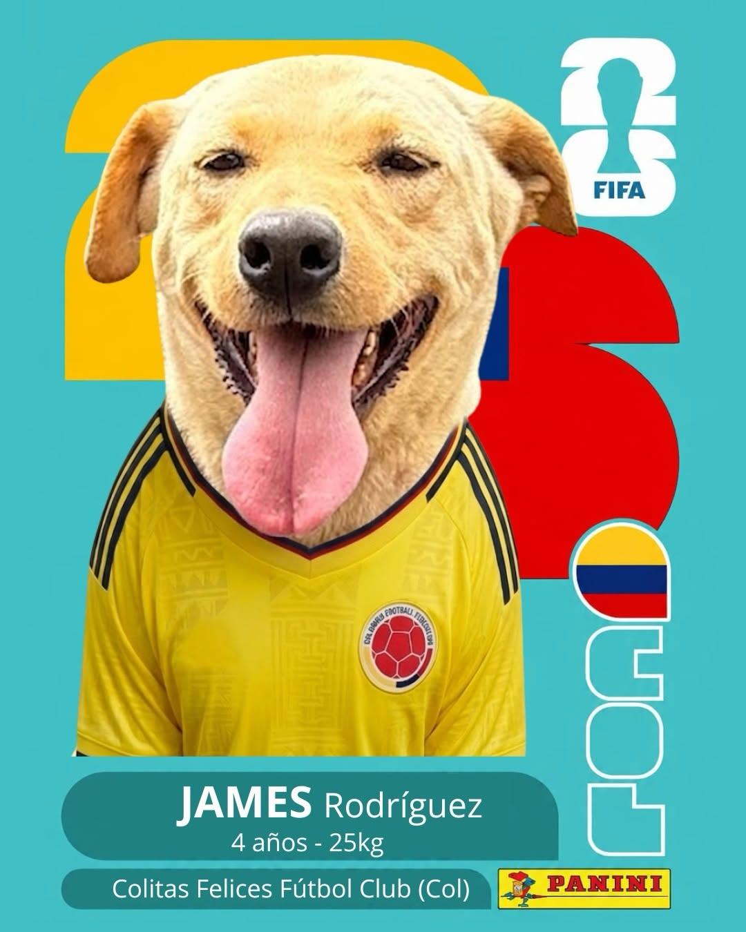 PACO (2/11)