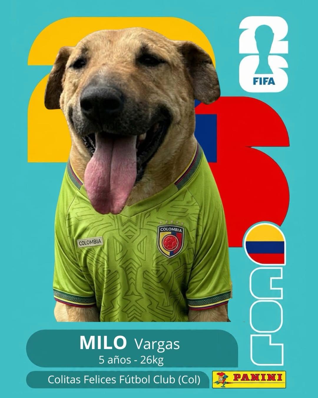 PACO (11/11)