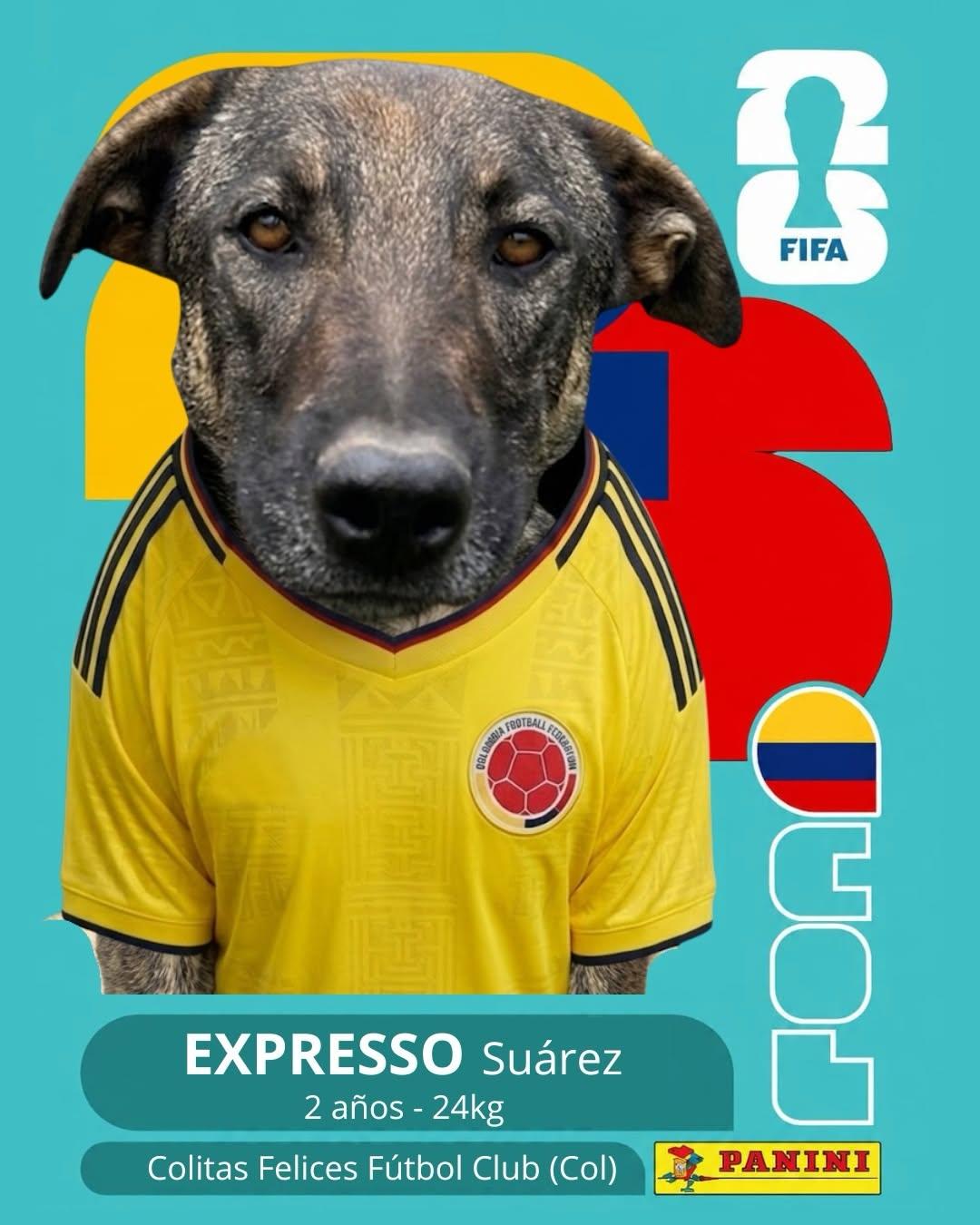 PACO (3/11)