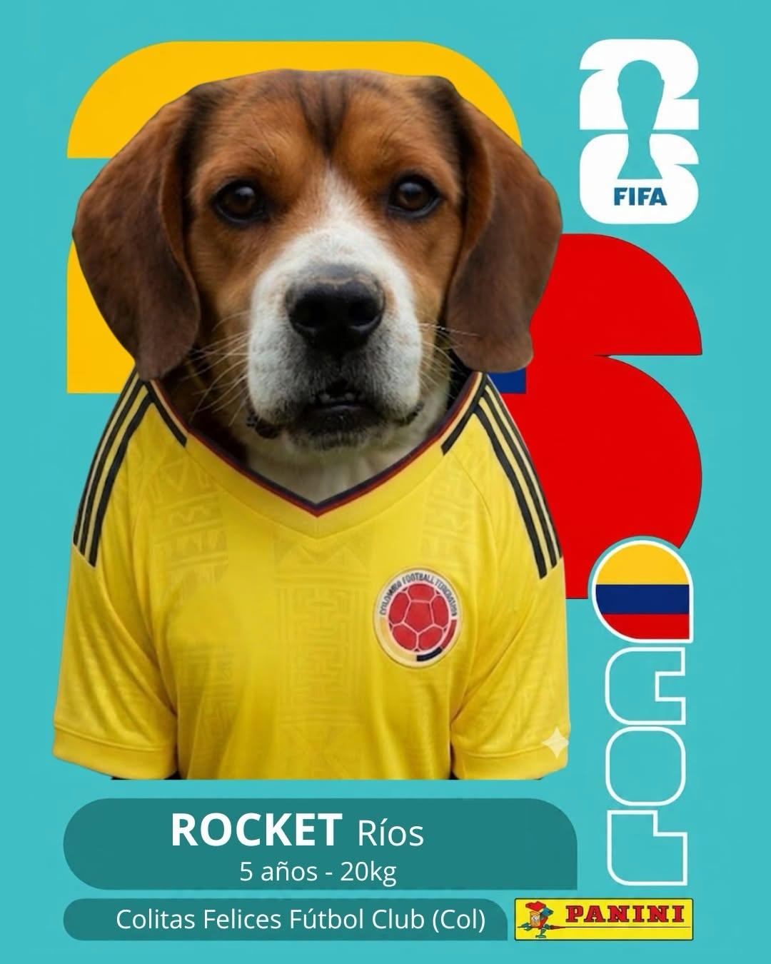 PACO (4/11)
