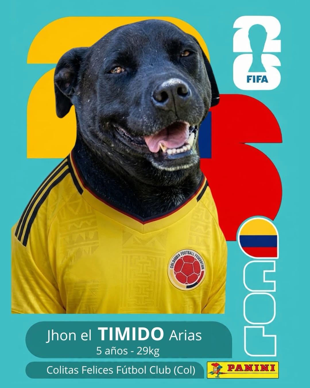 PACO (5/11)