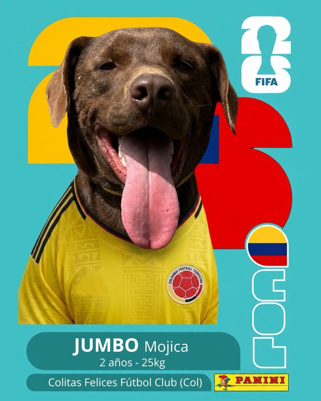 PACO (7/11)