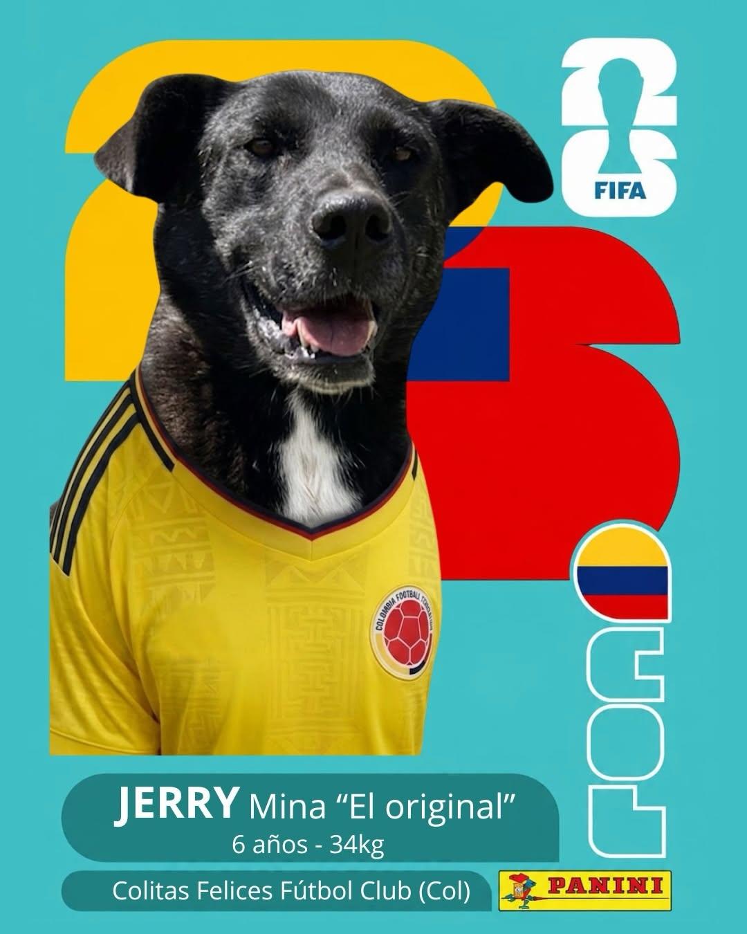 PACO (8/11)