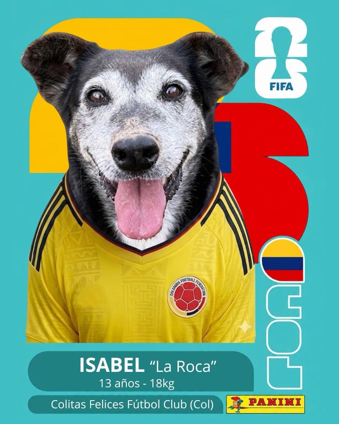 PACO (9/11)