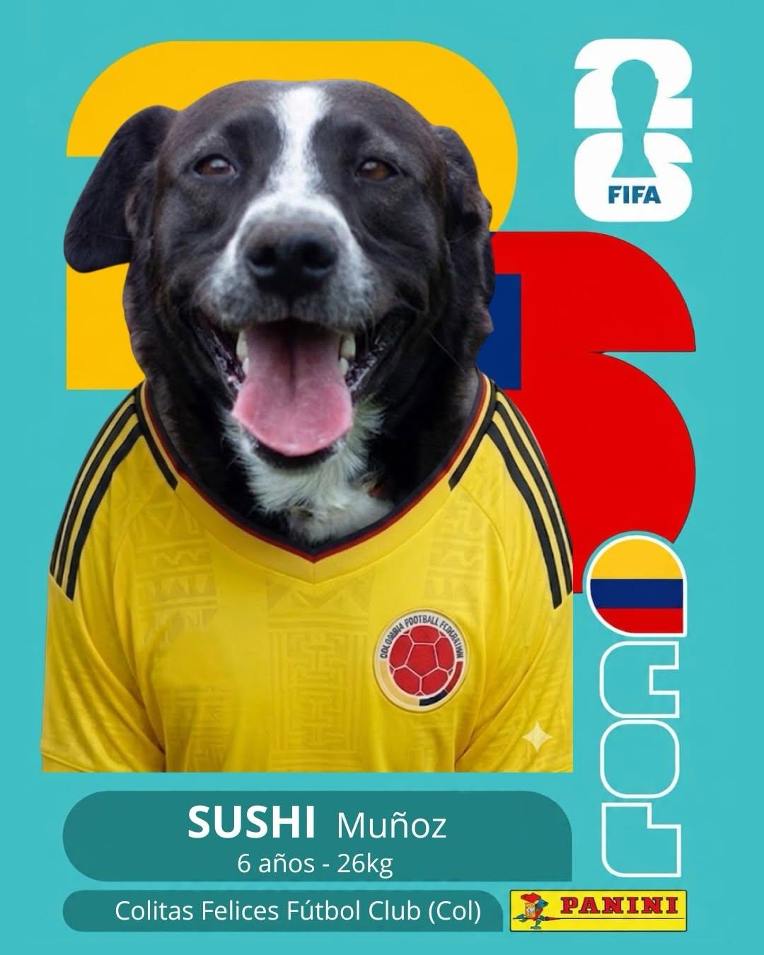 PACO (10/11)