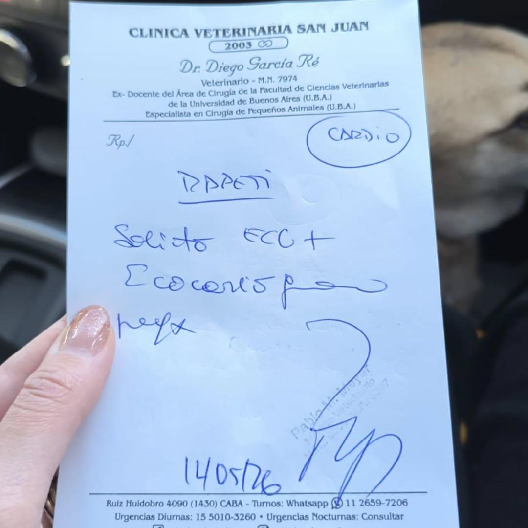 Chiqui (3/11)
