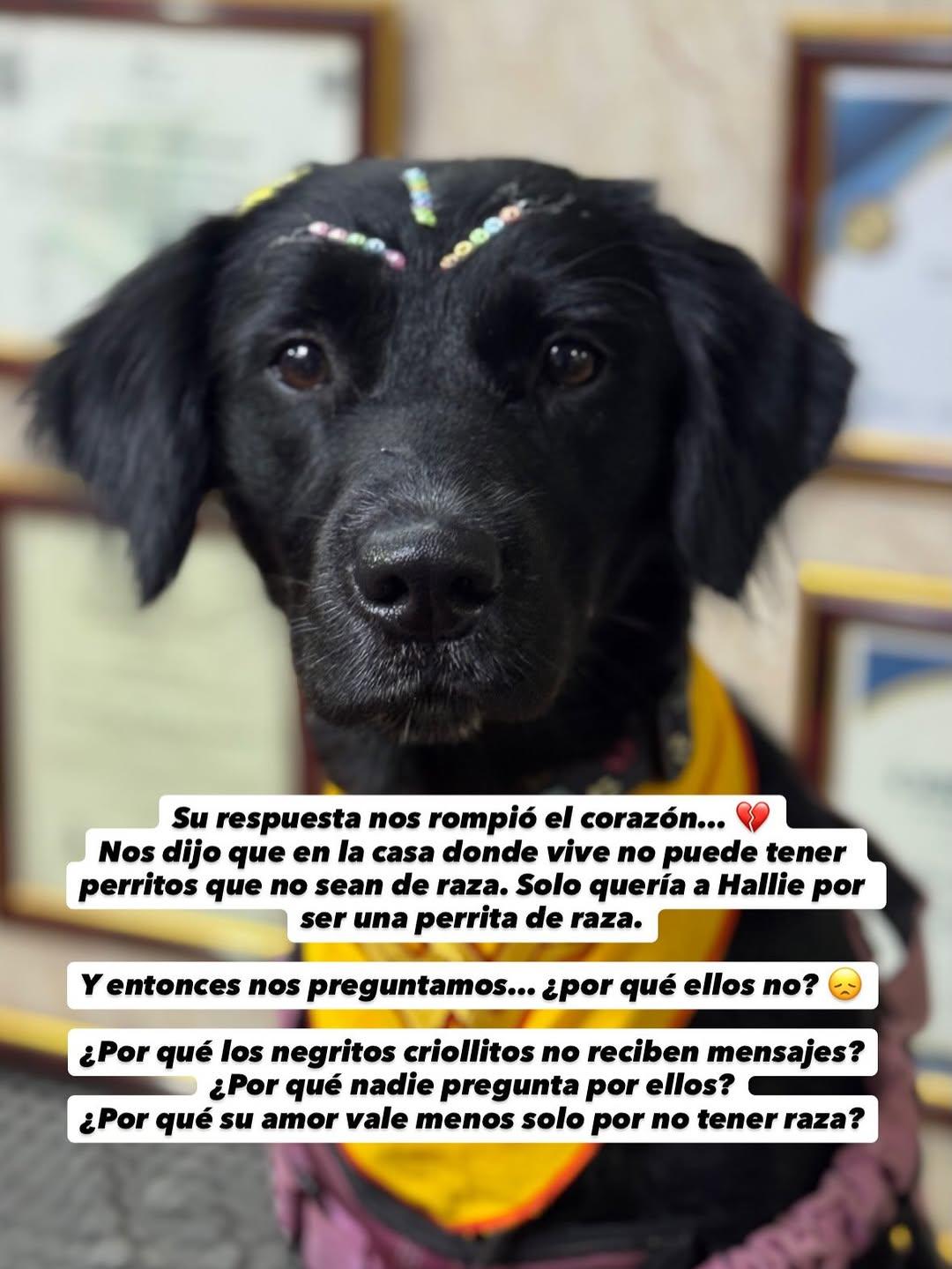Balvin, Hallie (5/7)