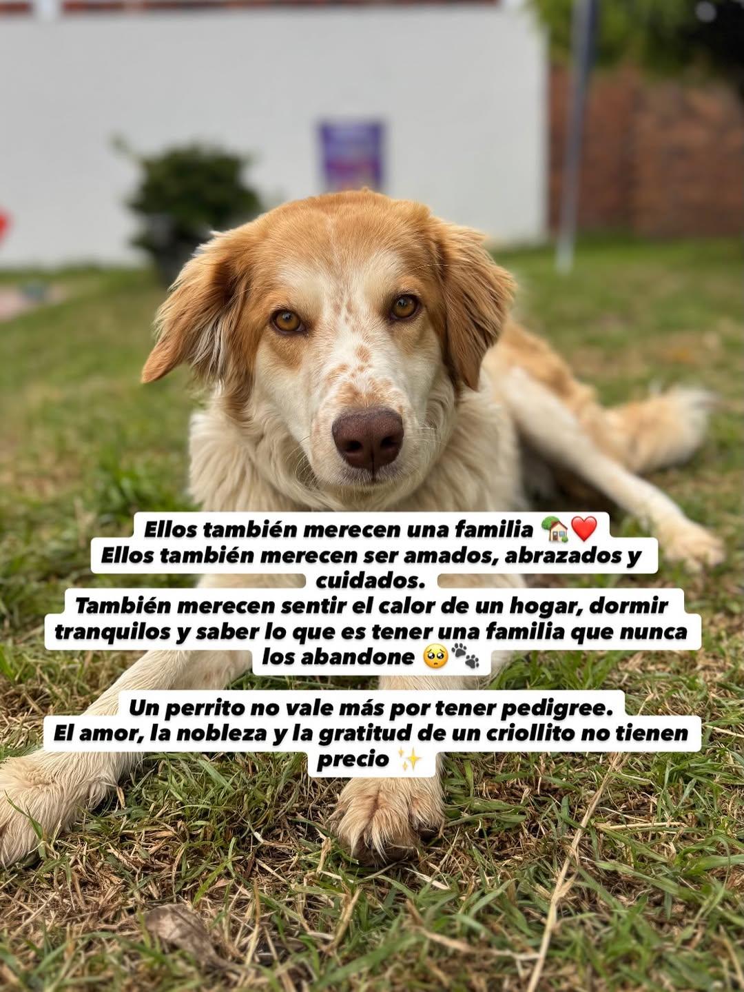 Balvin, Hallie (6/7)