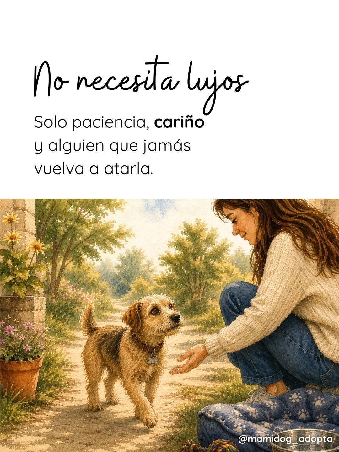 Noa (6/8)