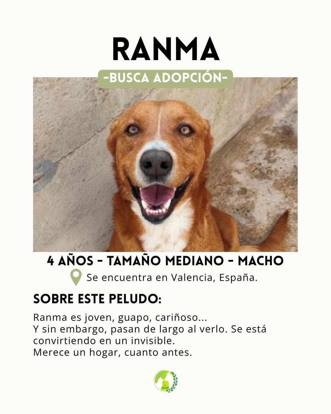 Ranma (2/5)