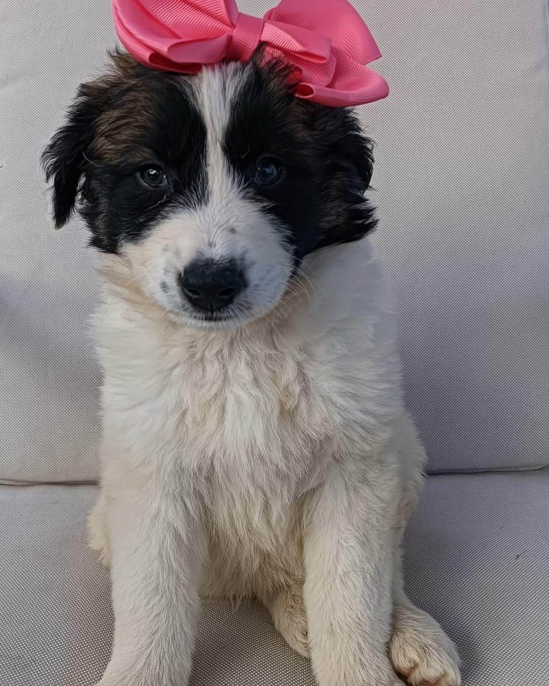 Bambita Bamba (2/4)