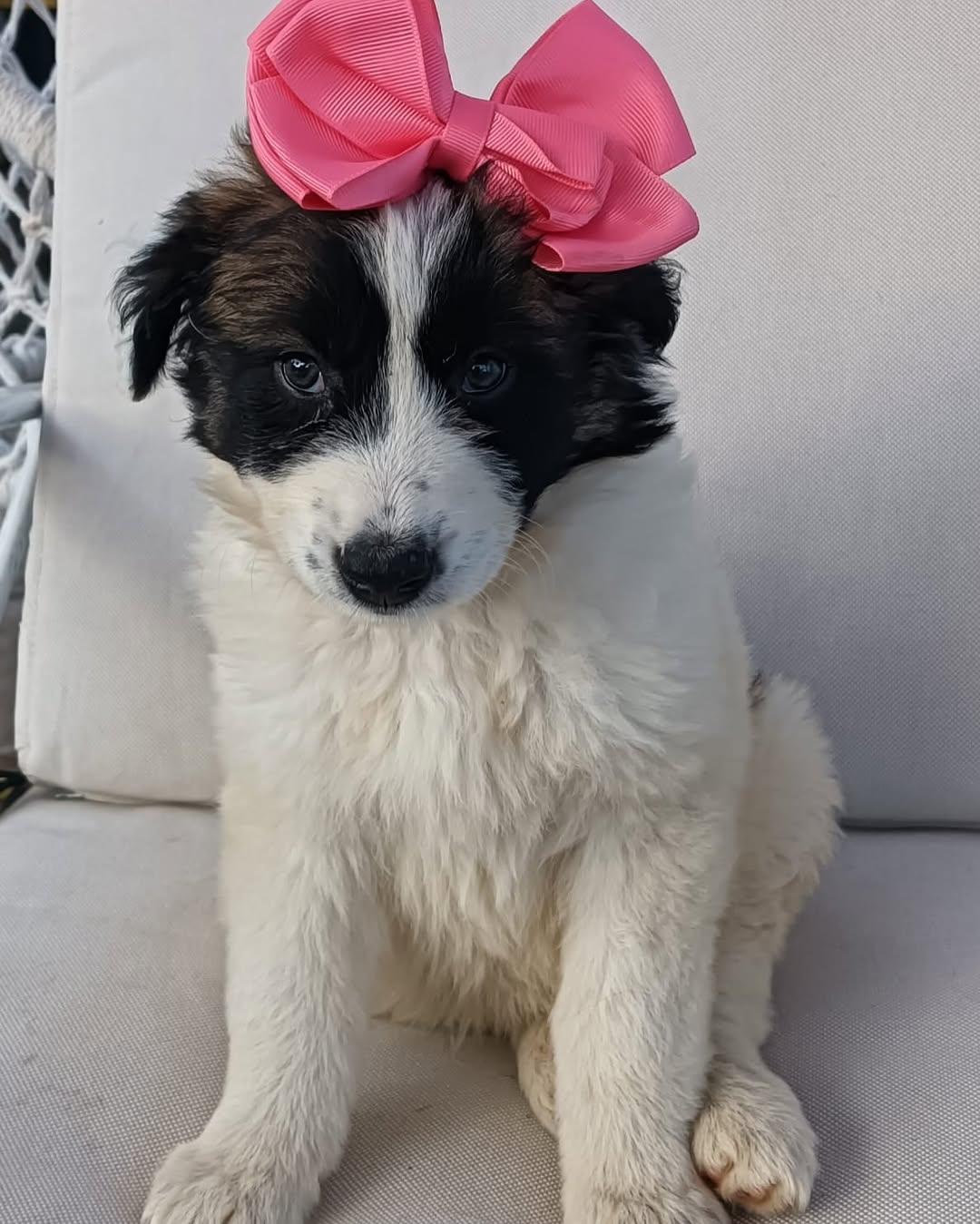 Bambita Bamba (4/4)