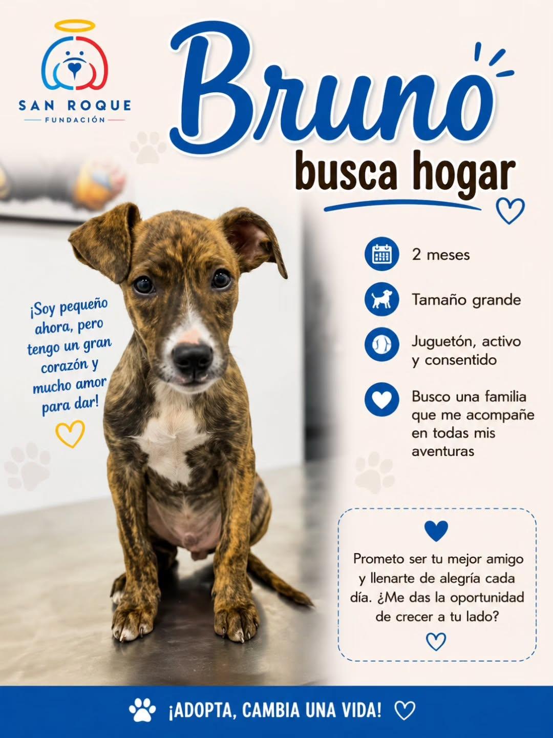 Bruno