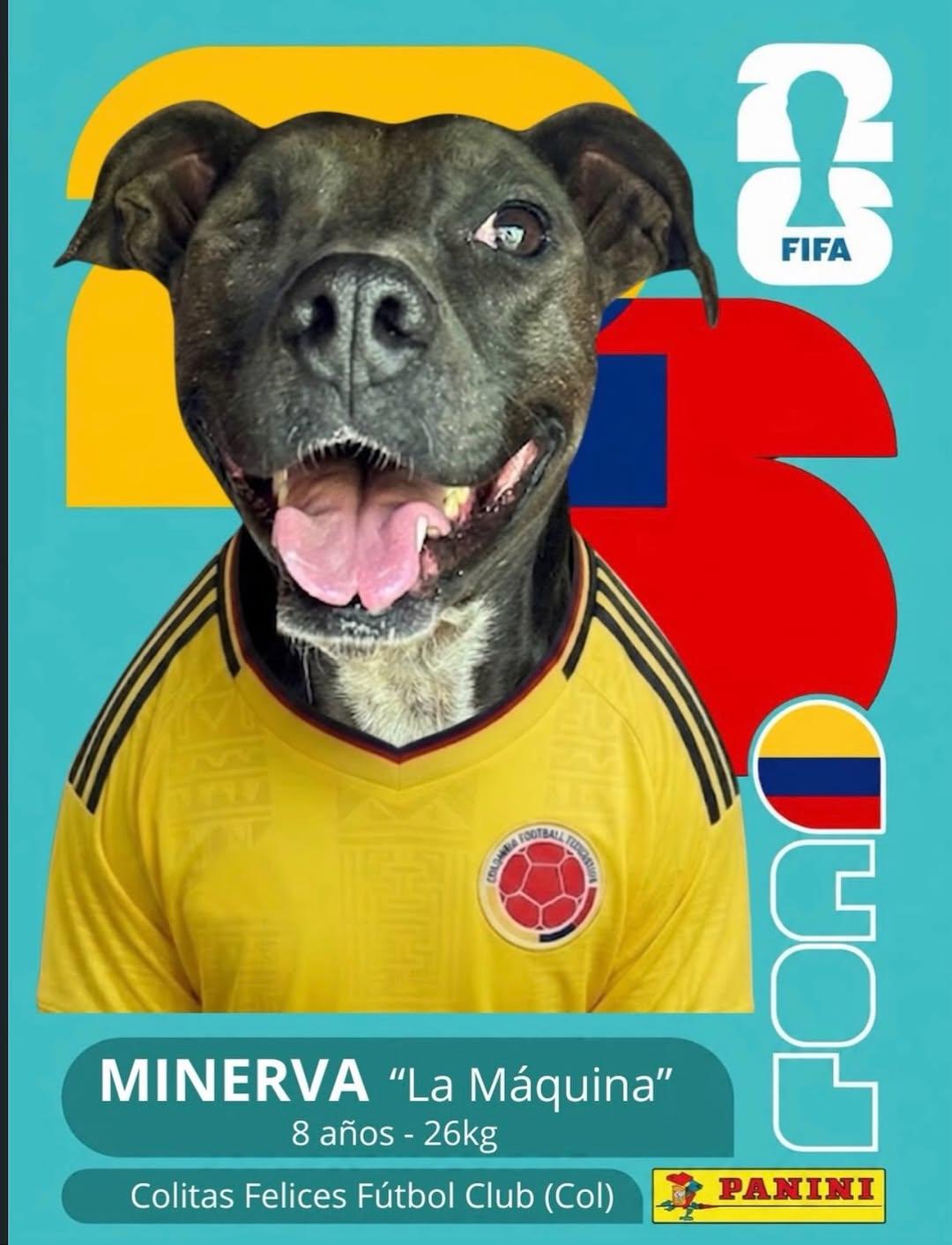 Minerva (1/10)