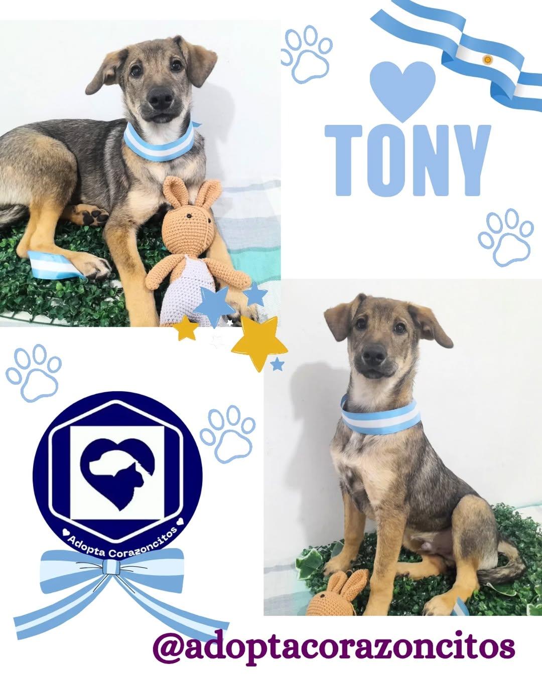 Tony