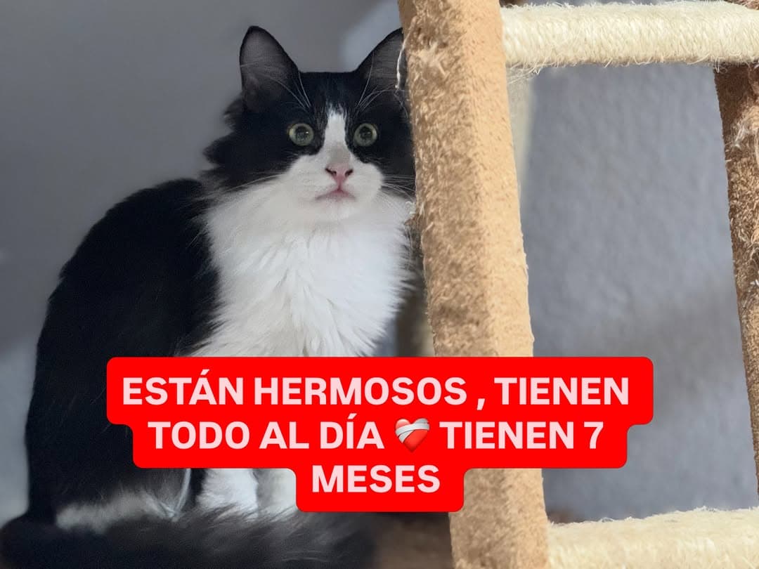 Sin nombre (2/3)
