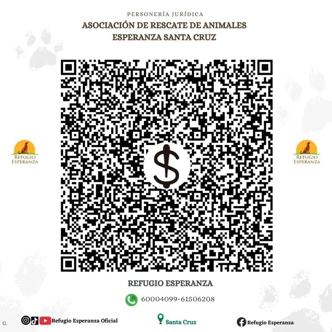 Huesitos (4/4)