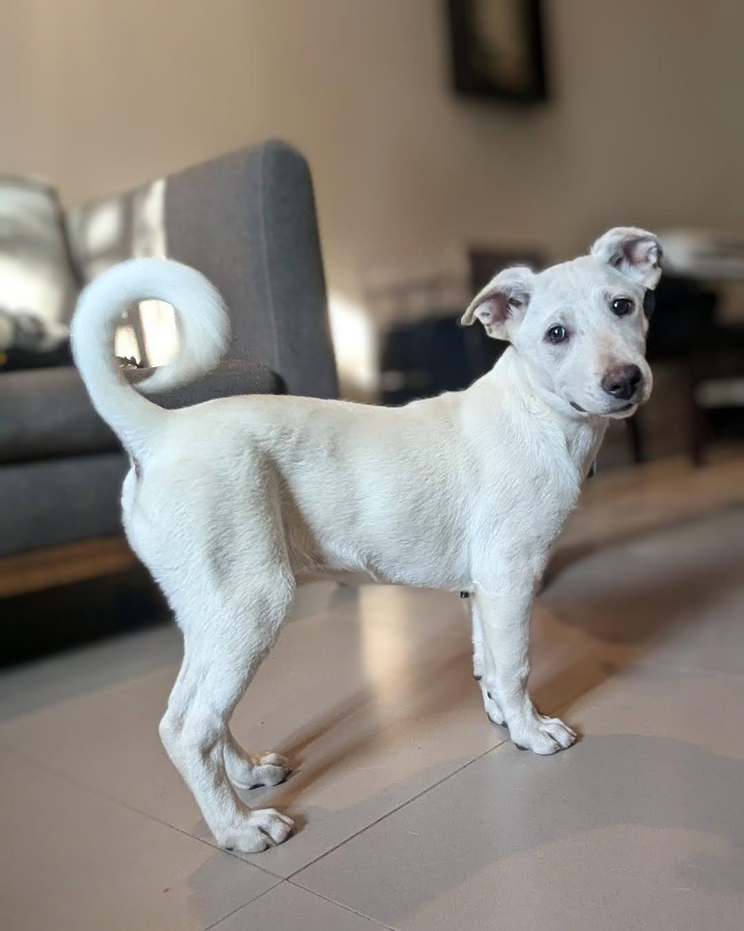 Kimy