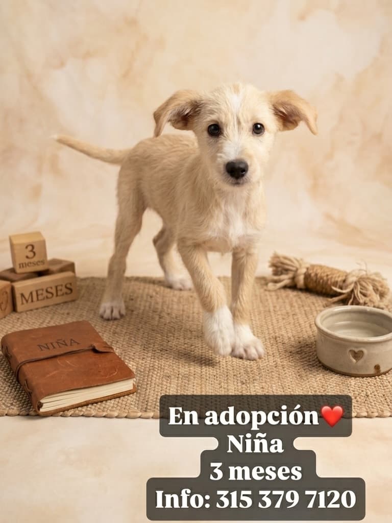 3 animalitos (3/3)