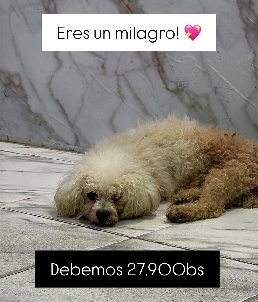 Sin nombre