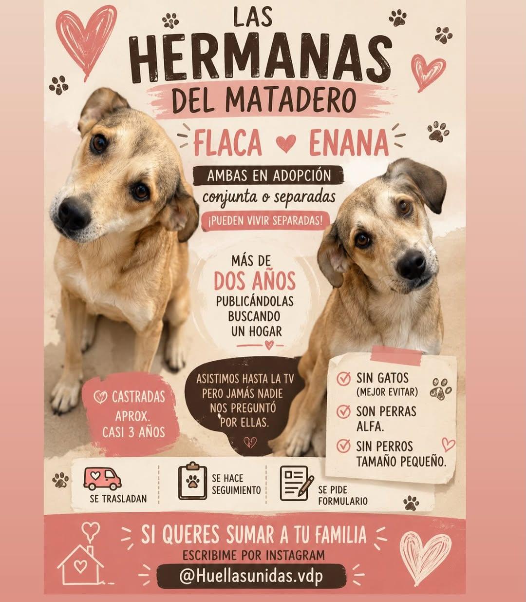 Flaca, Enana (1/5)