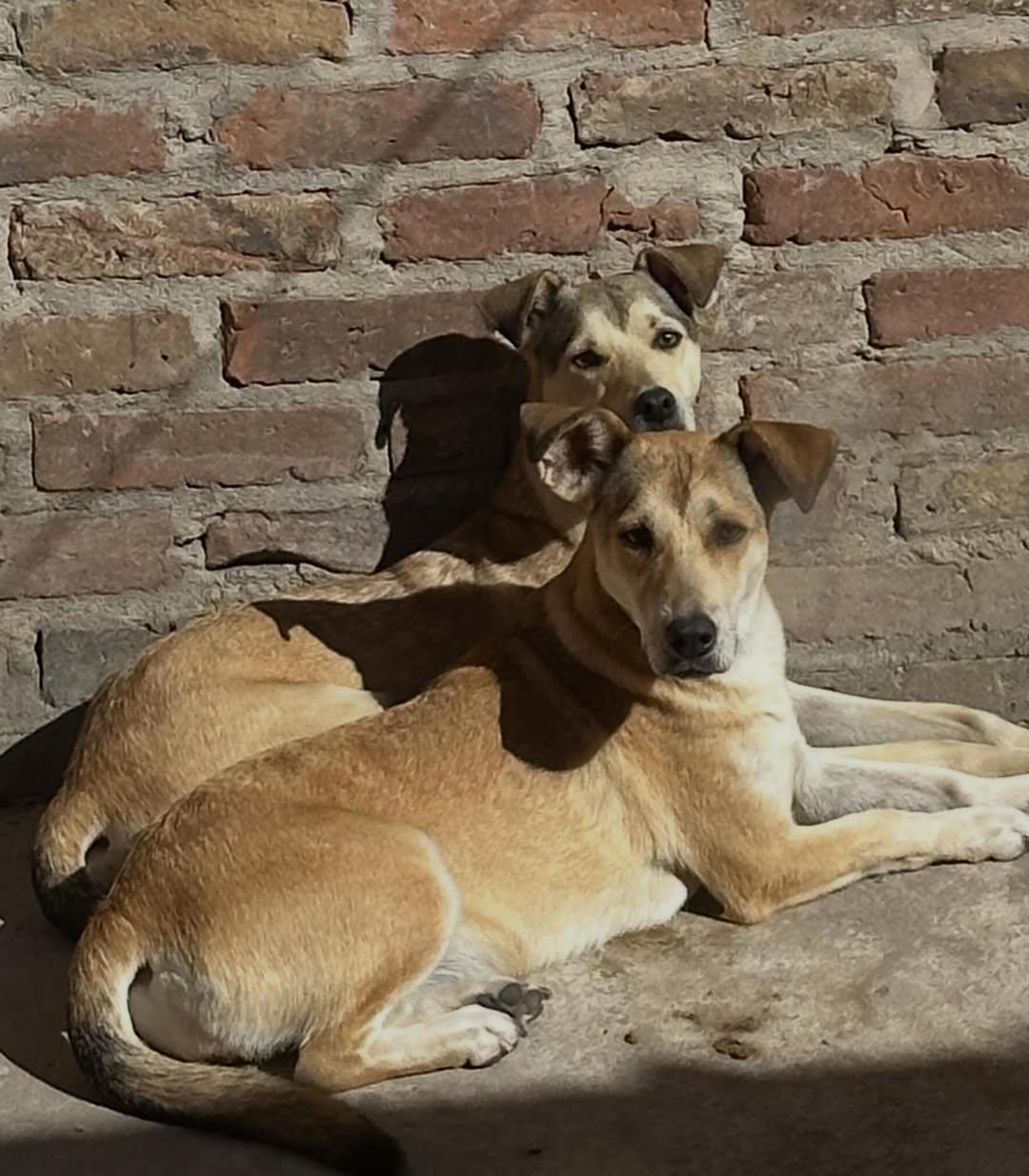 Flaca, Enana (2/5)
