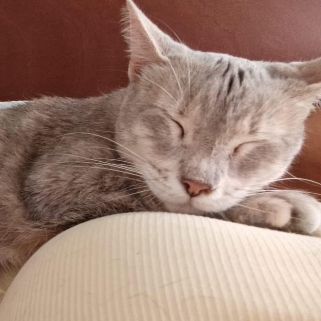 Sasha (2/2)
