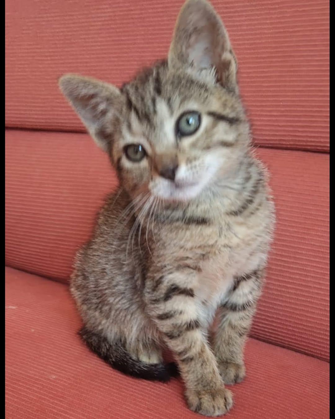 MIA (3/7)