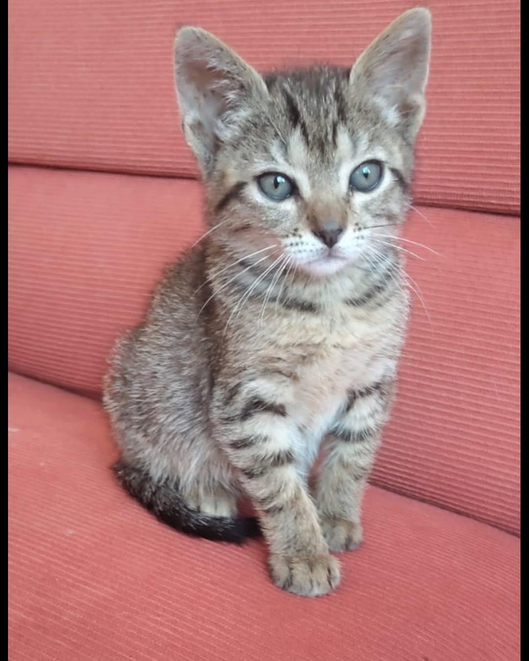 MIA (5/7)
